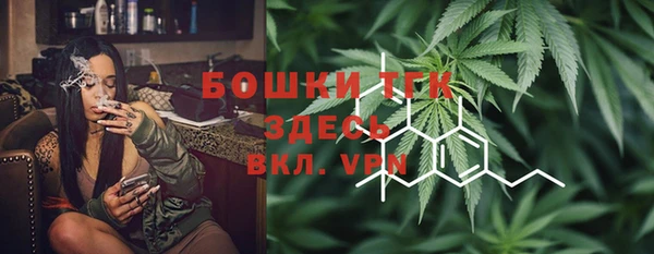 прущий лед Пересвет