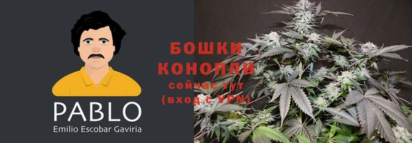 гидропоника Переславль-Залесский