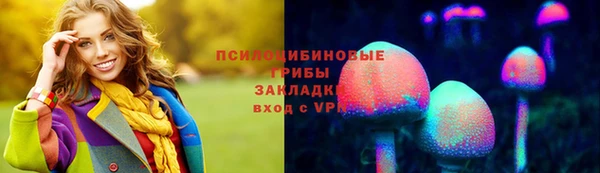 гидропоника Переславль-Залесский