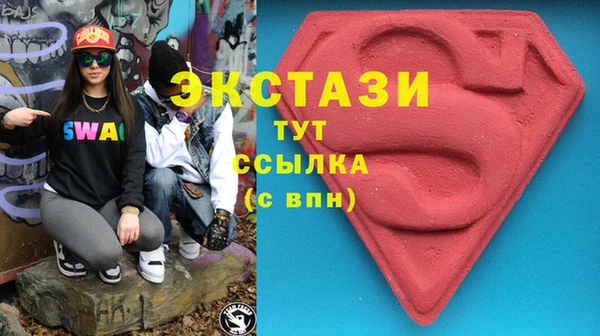 гидра Киселёвск
