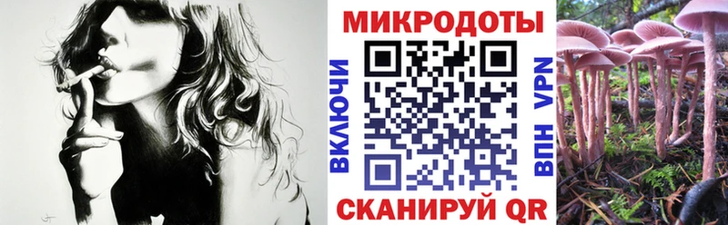 Псилоцибиновые грибы мухоморы  закладка  Прохладный 