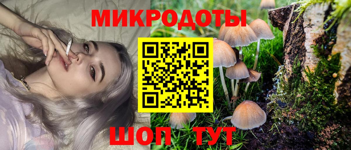 Прохладный  Галлюциногенные грибы Magic Shrooms  Вход с VPN  Псилоцибиновые грибы Psilocybine cubensis 